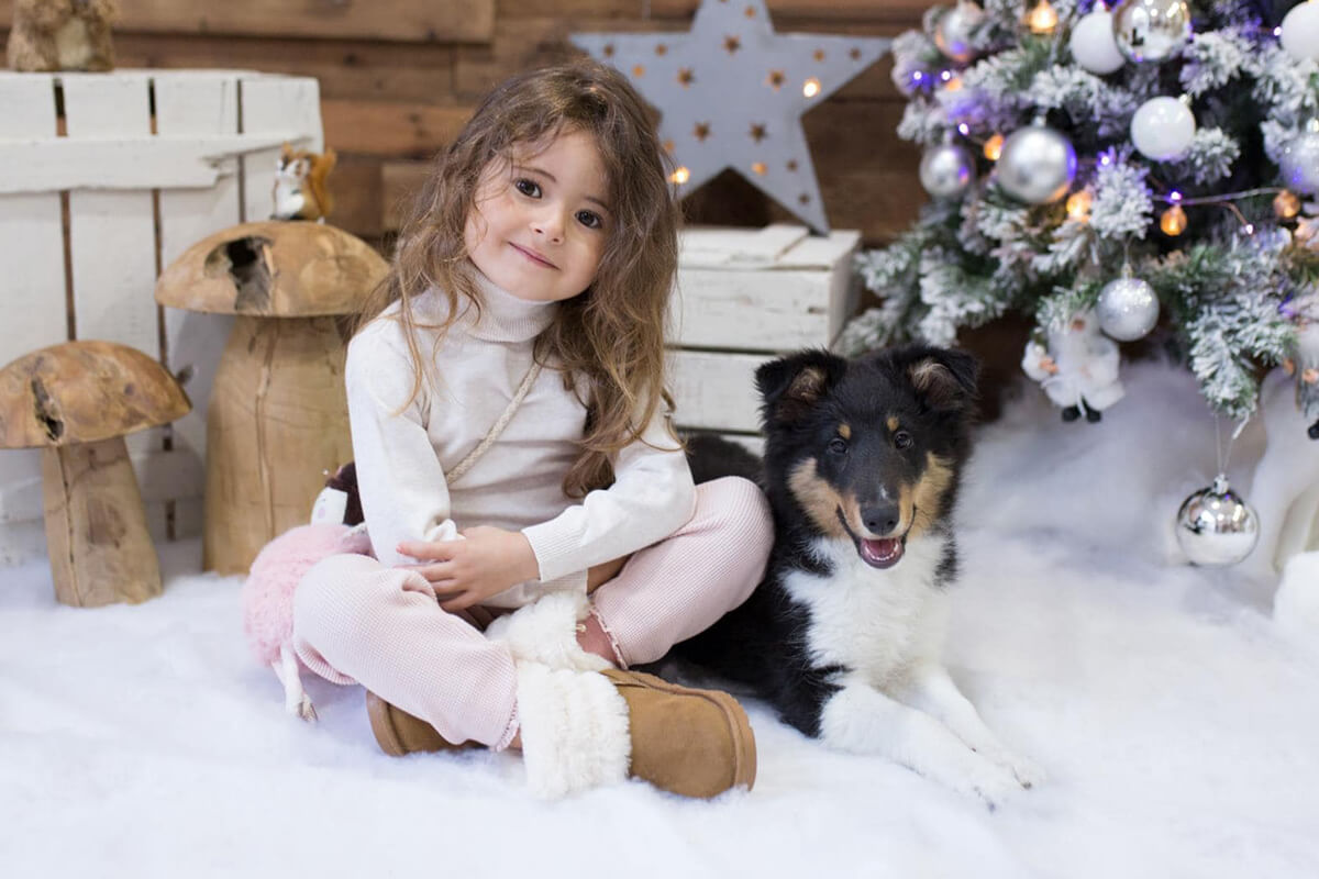 Fotografías de Navidad con mascotas en Valencia 2024