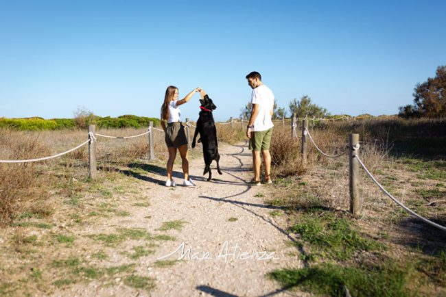 Sesión de fotos de preboda en mirador de aves en Valencia