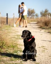 Sesión de fotos de preboda en mirador de aves en Valencia