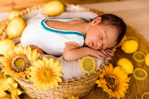 Fotografía creativa de recién nacido en cesta decorada con limones y girasoles